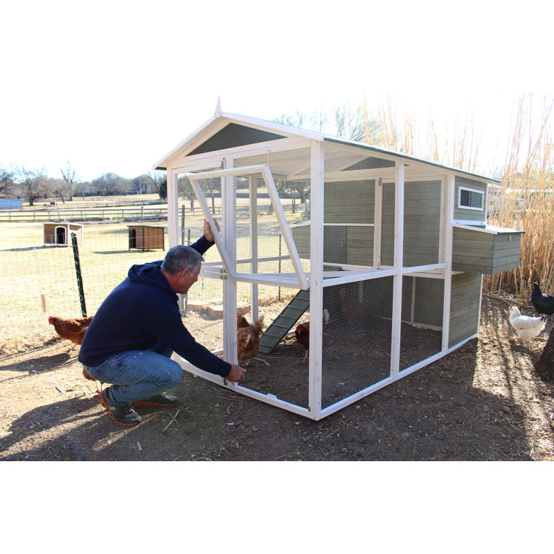 Zylina Big Green Chicken Coop & Reviews Wayfair